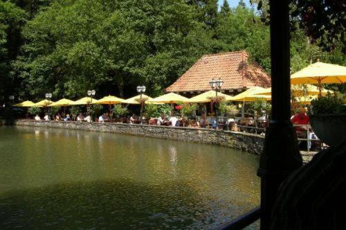 Waldhotel Silbermuehle Horn-Bad Meinberg Exterior photo